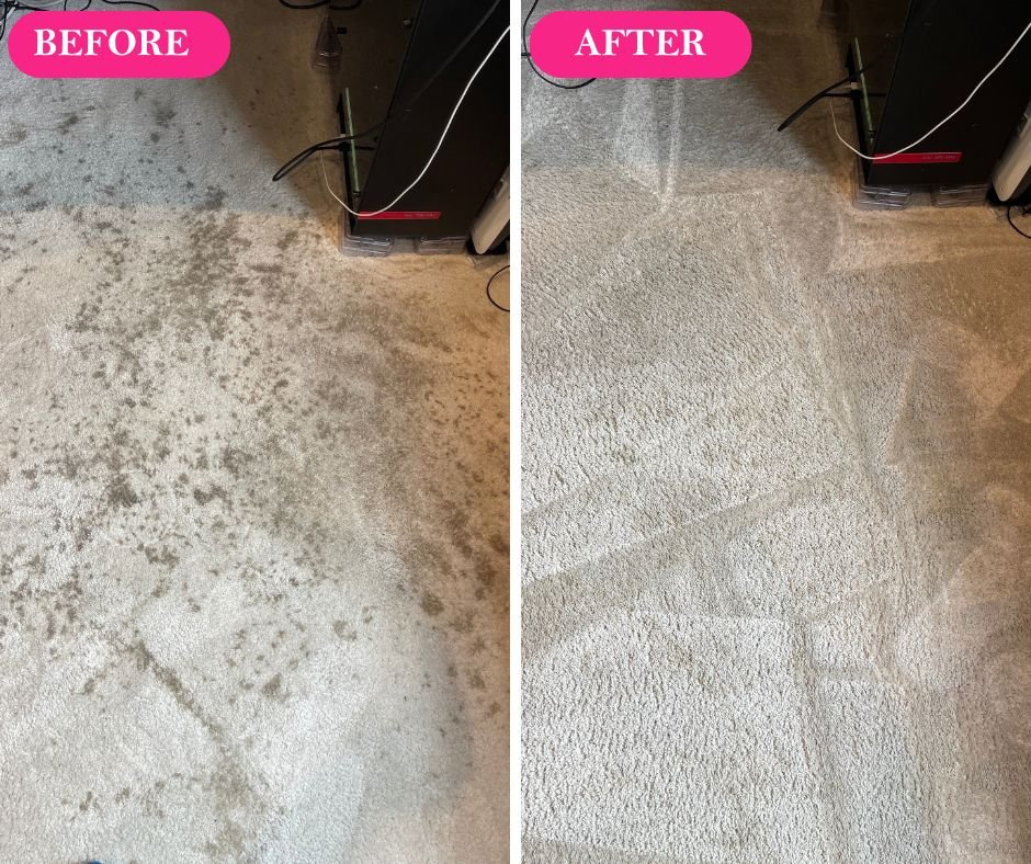 carpet-cleaning-london
